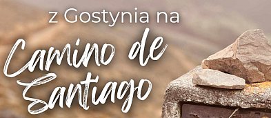 Z Gostynia do Camino de Santiago-4149