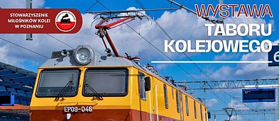 Wystawa Taboru Kolejowego w Lesznie-271694
