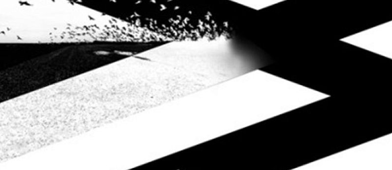 "Punkt przecięcia #52flickers" wystawa w MBWA Leszno