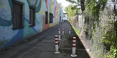 Samosiejka z płotkiem (zdjęcia)-75014