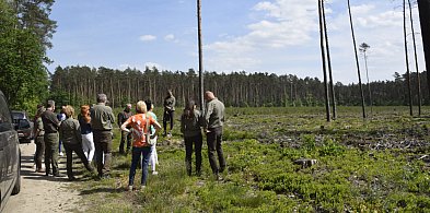 Mieszkańcy Leszna i okolic biorą udział urządzaniu lasu (zdjęcia)-66136