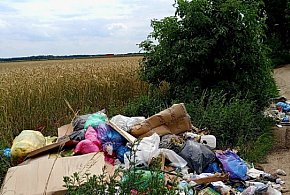 "Góra" podrzuconych śmieci przy ul. Henrykowskiej w Lesznie-67174