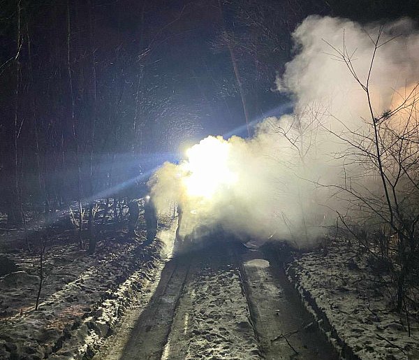 W lesie w gminie Osieczna spłonął samochód. To zagadkowy pożar (zdjęcia)-73125