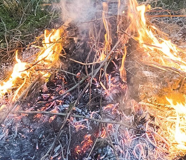 Dotkliwe kary za palenie traw i gałęzi! Strażacy z Leszna apelują! -73516