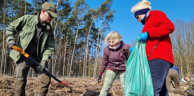 Wspólnie posadzili ponad 2000 dębów na Nowym Świecie (zdjęcia)-73818