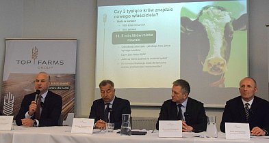 Krowy trafią na rzeź, a setki osób stracą pracę. Chyba że...-74709