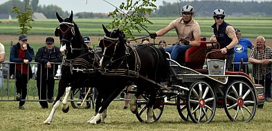Konna majówka w Bukówcu Górnym trwa (zdjęcia) -74937