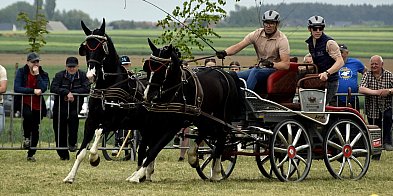 Konna majówka w Bukówcu Górnym trwa (zdjęcia) -74937