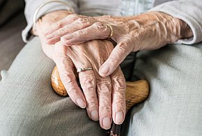 Nowa stawka najniższej emerytury. Rząd ujawnił kwotę-76002