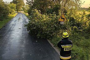 Takie były skutki poniedziałkowej wichury w Lesznie i okolicy (zdjęcia)-76269