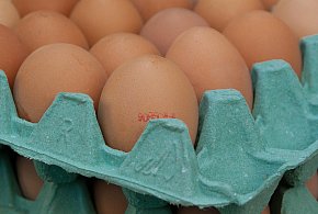Salmonella na jajach znanej marki. Nie jedz, jeśli masz je w lodówce!-76480