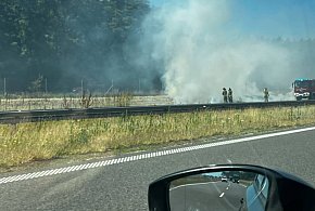 Pożar w rowie przy S5. Na miejscu są strażacy -76538