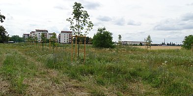 A wiecie, że w Lesznie powstał nowy skwer? -76667
