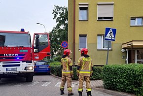 Cztery wozy strażackie wysłane na Włodarczaka w Lesznie (zdjęcia) -76807