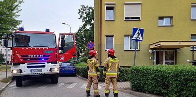 Cztery wozy strażackie wysłane na Włodarczaka w Lesznie (zdjęcia) -76807