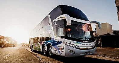 Gdańsk na start – gdzie warto pojechać z Trójmiasta na wycieczkę?-76866