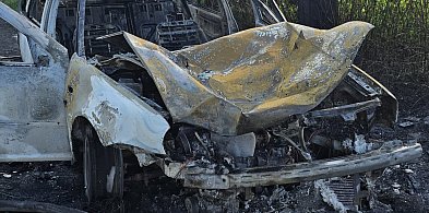 Samochód spłonął po uderzeniu w drzewo. W aucie był młody kierowca (zdjęcia)-77336