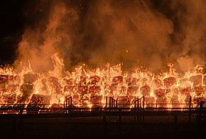 Nocny pożar w Lesznie. Były obawy o budynki i konie (zdjęcia, film)-77555