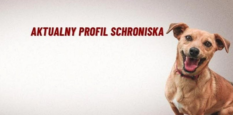 Skradziono im profil na FB. Stracili 15 tysięcy obserwujących - 77607