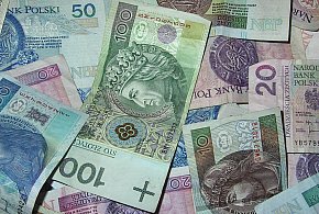 Miliony już na kontach. ZUS wskazuje, ile już wypłacił na...-77655