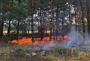 Paliło się w gminie Rydzyna. Trzy jednostki wysłane na miejsce pożaru (zdjęcia) -77765