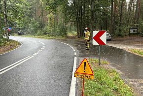Auto leżało na boku. Kierowcę wyciągnęli strażacy (zdjęcia) -78029