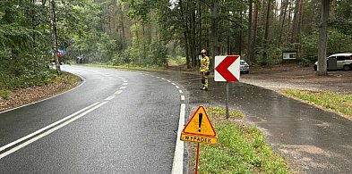Auto leżało na boku. Kierowcę wyciągnęli strażacy (zdjęcia) -78029
