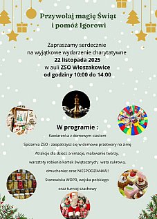 Festyn charytatywny dla Igora we Włoszakowicach