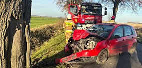 Kierowca forda wjechał w drzewo (zdjęcia)