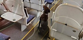 Policyjne psy szukały narkotyków w Polregio (zdjęcia)