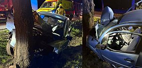 Dziewiętnastolatka wjechała autem w drzewo (zdjęcia)