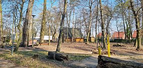 Tak wygląda koniec Tarzana w Parku 1000-lecia (zdjęcia)