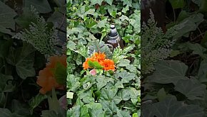 Pamiętali o grobach zaniedbanych i zapomnianych