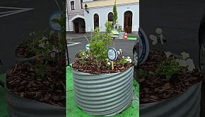 Koniec z betonozą w Lesznie