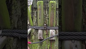 Park Linowy Tarzan w Lesznie