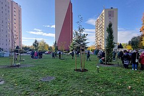 Sadzenie drzew w Parku Grody Leszczyńskie-11443