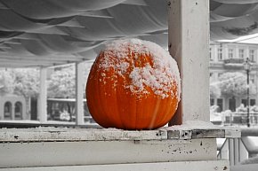 Zima w Lesznie, 26 listopada 2025-11616