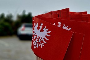 107. rocznica Powstania Wielkopolskiego w gminie Rydzyna-11818