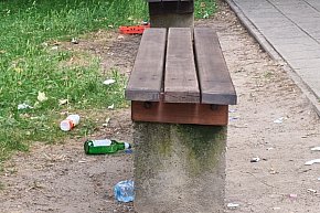 Zaśmiecone Leszno 2025-11832