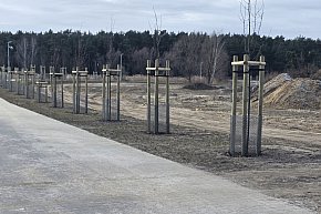 Ścieżka pieszo-rowerowa w Zaborowie-11836