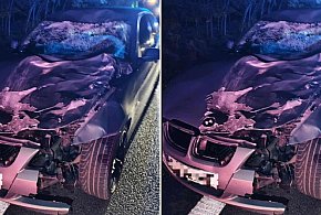 Jeleń uderzył w rozpędzone bmw. Zwierzę nie przeżyło tego wypadku-78423