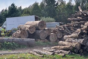 Paliła się suszarnia drewna. Dym było widać aż z Leszna (zdjęcia)-78693