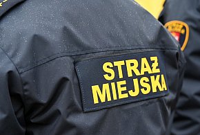 Zapuka strażnik, zapłacisz karę. Ruszyły kontrole w całej Polsce-79257