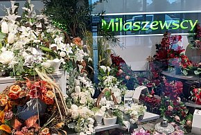 Kwiaty i znicze na Wszystkich Świętych – trendy jesieni 2025-79344