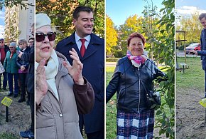 Linkus, Danusia, Halinka, Seniorita, Stasiu. Rosną w Lesznie (zdjęcia,film)-79479