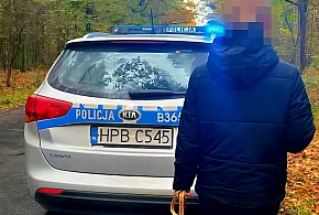 Zgubiła się w lesie na grzybobraniu. Kto włączył sygnały podpowiadające drogę?-79718