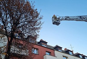 Lepiej dmuchać na zimne. Strażacy chwalą zgłaszającego (zdjęcia, film)-80042