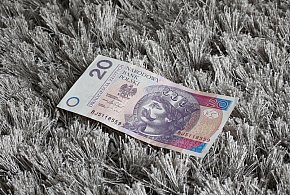 Nowy banknot o nominale 20 zł. Wchodzi do obiegu w tym tygodniu-80060