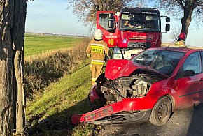 Kierowca forda wjechał w drzewo. Służby ratownicze na miejscu (zdjęcia)-80078
