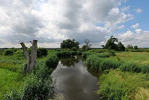 Co dalej z nowym parkiem narodowym? Minister klimatu zdradza plan po wecie-80270